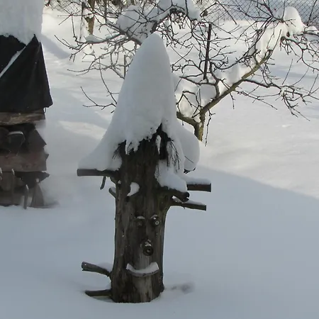 Dum U Rybnika בית נופש Nydek